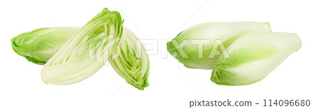 Chicory salad isolated on white background with full depth of field. Chicory salad isolated on white background with full depth of field. 114096680