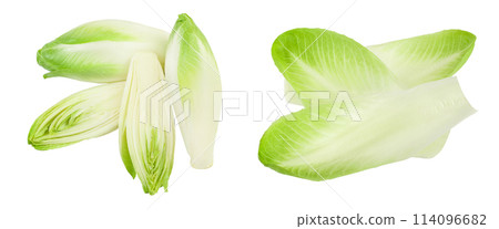 Chicory salad isolated on white background with  full depth of field. Top view. Flat lay 114096682