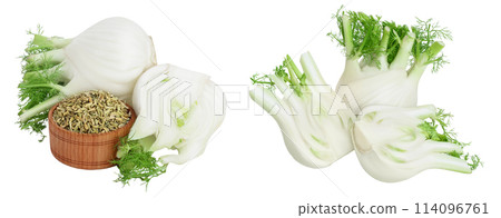 fresh fennel bulb with seed isolated on white background with  full depth of field 114096761