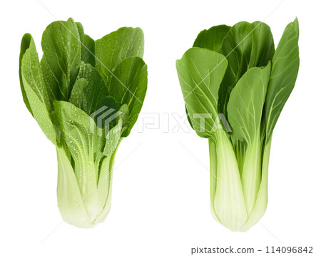 Fresh pak choi cabbage isolated on white background with full depth of field Fresh pak choi cabbage isolated on white background with full depth of field 114096842