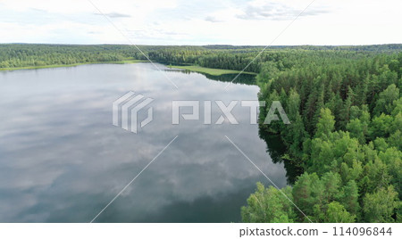 High view of shore lake and forest High view of shore lake and forest 114096844