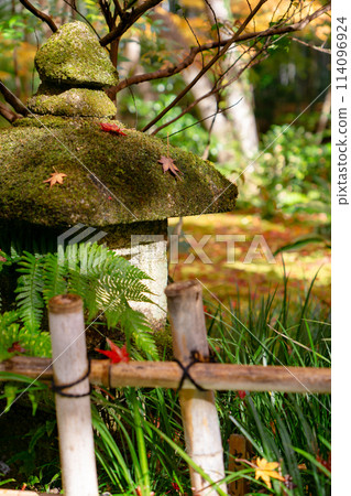 Gion-ji Temple (Ojo-in Nunnery) in Saga, Ukyo Ward, Kyoto City: Gion-no-Horimon (Gion Hermitage) Lanterns and Maple Leaves Gion-ji Temple (Ojo-in Nunnery) in Saga, Ukyo Ward, Kyoto City: Gion-no-Horimon (Gion Hermitage) Lanterns and Maple Leaves 114096924
