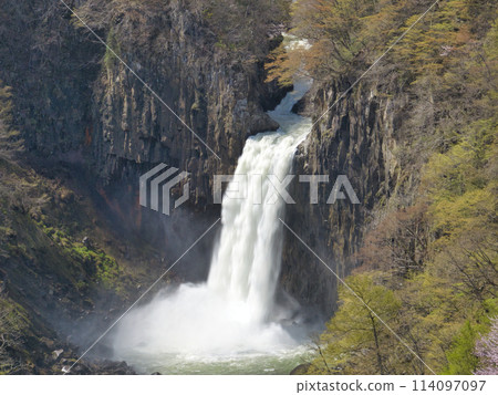 The magnificent Naena Falls (Kaminari Falls), Myoko City, Niigata Prefecture (aerial view taken by drone) 114097097