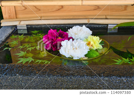 西新井大師美花護手水（東京都足立區） 114097380