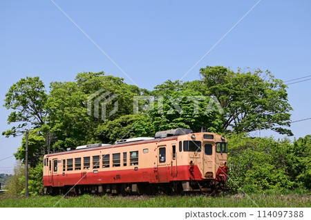 Kominato Railway Running Through Fresh Greenery 114097388