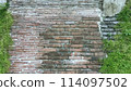 grass on aged wall cement stone backdrop abstract background photography 114097502