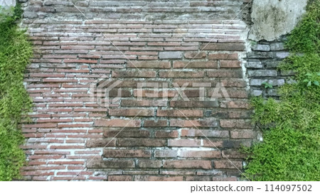 grass on aged wall cement stone backdrop abstract background photography 114097502