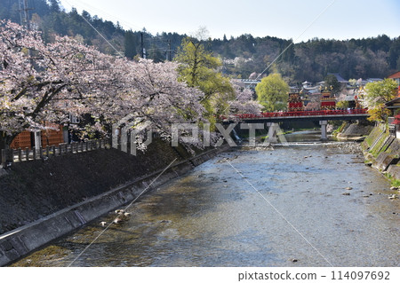 Takayama City, Gifu Prefecture, Japan, Spring Takayama Festival, Cherry blossoms in full bloom and food stalls crossing Nakabashi Bridge, beautiful fresh greenery and blue sky 114097692