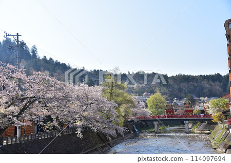 Takayama City, Gifu Prefecture, Japan, Spring Takayama Festival, Cherry blossoms in full bloom and food stalls crossing Nakabashi Bridge, beautiful fresh greenery and blue sky 114097694