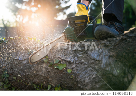 A man in uniform cuts an old tree in the yard with an electric saw. 114098113