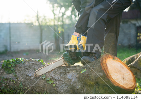 A man in uniform cuts an old tree in the yard with an electric saw. A man in uniform cuts an old tree in the yard with an electric saw. 114098114