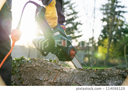 A man in uniform cuts an old tree in the yard with an electric saw. 114098120
