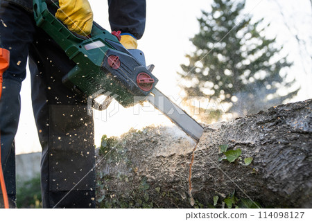 A man in uniform cuts an old tree in the yard with an electric saw. A man in uniform cuts an old tree in the yard with an electric saw. 114098127