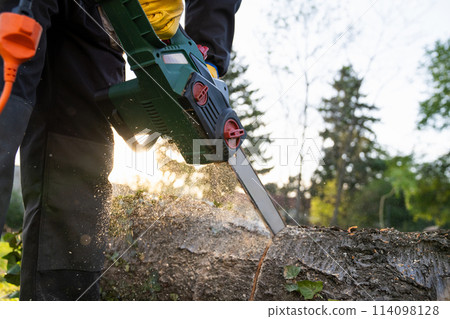 A man in uniform cuts an old tree in the yard with an electric saw. 114098128
