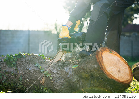 A man in uniform cuts an old tree in the yard with an electric saw. 114098130