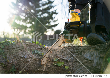 A man in uniform cuts an old tree in the yard with an electric saw. A man in uniform cuts an old tree in the yard with an electric saw. 114098134