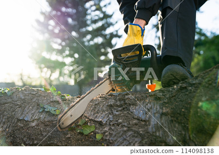A man in uniform cuts an old tree in the yard with an electric saw. 114098138