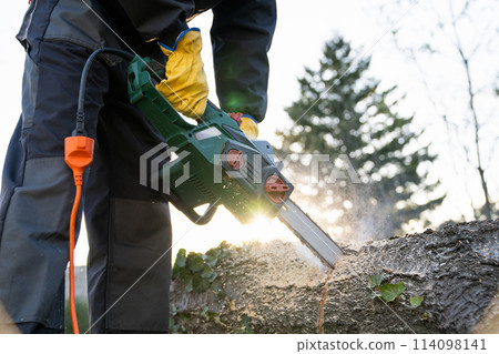 A man in uniform cuts an old tree in the yard with an electric saw. 114098141