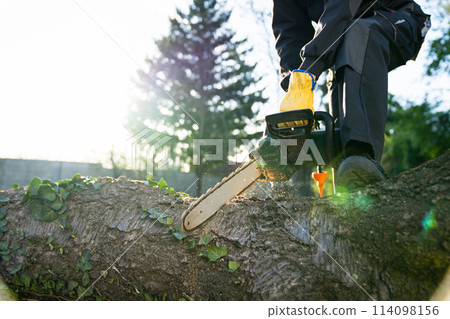 A man in uniform cuts an old tree in the yard with an electric saw. 114098156