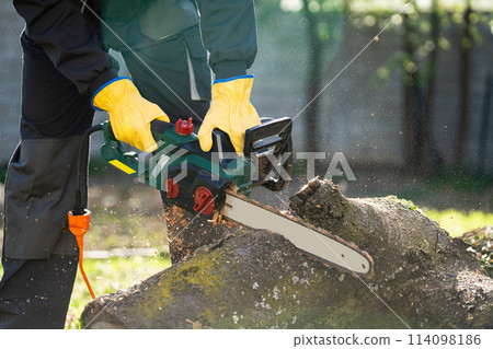 A man in uniform cuts an old tree in the yard with an electric saw. 114098186