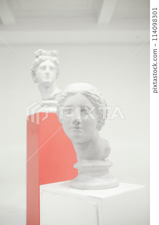 White sculptures of female heads on podiums against gray background. White sculptures of female heads on podiums against gray background. 114098301