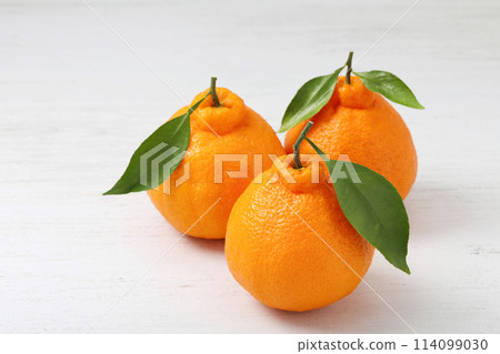 Dekopon 與白色背景上的葉子 114099030