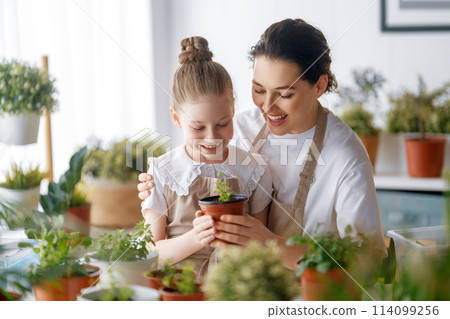 Family caring for plants Family caring for plants 114099256