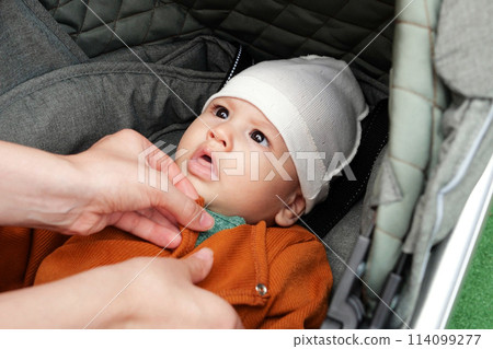 young mother on a summer day covers a newborn baby with a blanket in a baby carriage 114099277