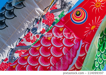 Koinobori/五月圖片 114099397