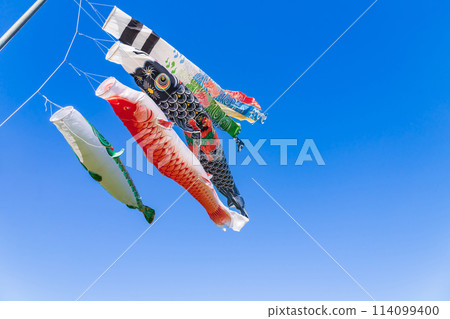 Koinobori/五月圖片 114099400