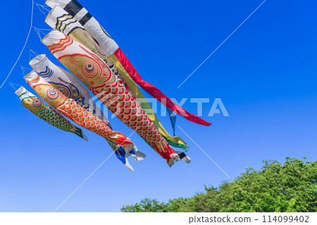 Koinobori/五月圖片 114099402