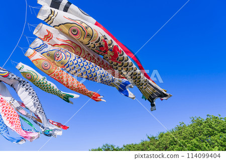 Koinobori/May image 114099404