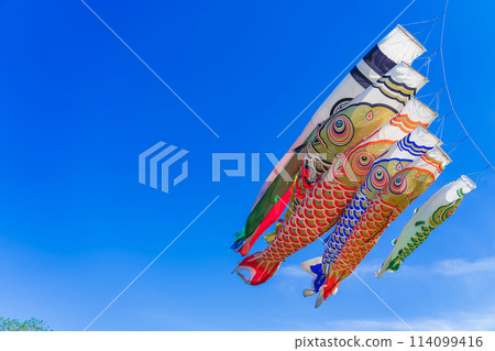 Koinobori/May image Koinobori/May image 114099416