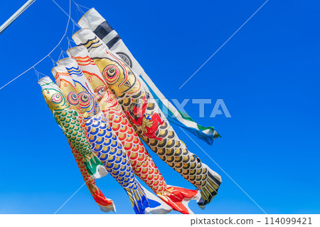 Koinobori/May image Koinobori/May image 114099421