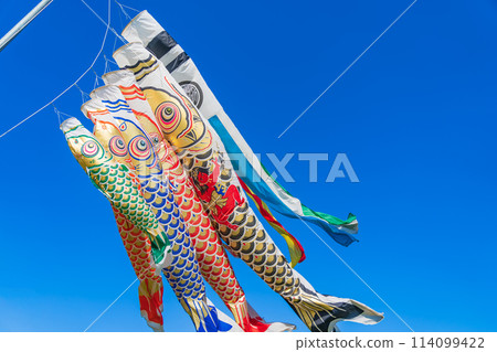 Koinobori/五月圖片 114099422