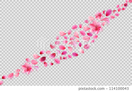 flying sakura petals. Flower decoration on transparent background. Stock vector illustration in realistic style. 114100043