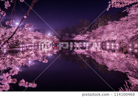 【青森縣弘前市】弘前城的櫻花樹盛開，倒映在水面上 114100468