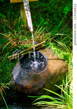 只王寺庭園內的長缽缽 只王寺庭園內的長缽缽 114100612