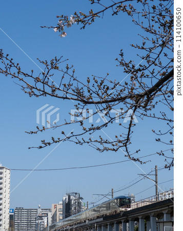 春天來了 114100650