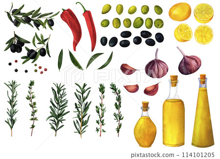 Olive branches, green and black olives, lemons, garlic, olive oil watercolor hand painted set, isolated on white background 114101205