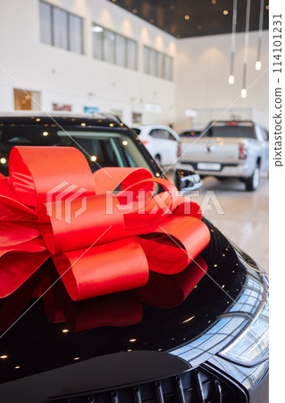 The new car is wrapped in a red bow. Beautiful gift concept. The new car is wrapped in a red bow. Beautiful gift concept. 114101231