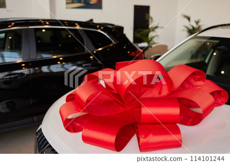 The new car is wrapped in a red bow. Beautiful gift concept. The new car is wrapped in a red bow. Beautiful gift concept. 114101244