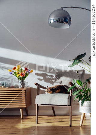 Stylish modern Scandinavian interior of living room with seasonal flowers on the wooden console and sleeping cat on the armchair in hard sunlight. Cozy home interior design with spring or summer mood 114102254