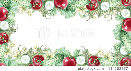 Rectangular frame with red ripe tomato and cucumber in watercolor illustration on a white background. Hand drawn illustration of cucumber and tomato frame for cookbooks, recipes and natural products. Rectangular frame with red ripe tomato and cucumber in watercolor illustration on a white background. Hand drawn illustration of cucumber and tomato frame for cookbooks, recipes and natural products. 114102587