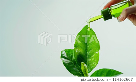 natural cosmetic oil in a woman's hand and green leaves on a light background with space for text 114102607
