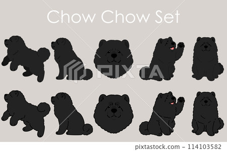 簡單可愛的黑色鬆獅犬插畫集 114103582