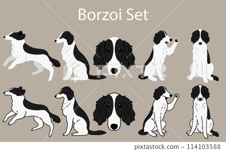 簡單可愛的白色和黑色獵狼犬插畫集 114103588