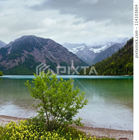 Plansee summer landscape (Austria). 114103604
