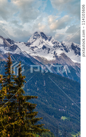 Alps mountain summer view, Austria 114103606