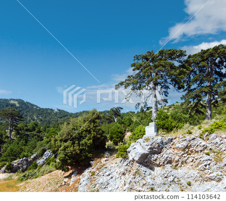 Summer Llogara pass (Albania) Summer Llogara pass (Albania) 114103642